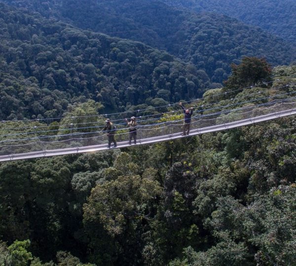 2 Days Nyungwe National Park Safari Experiences.