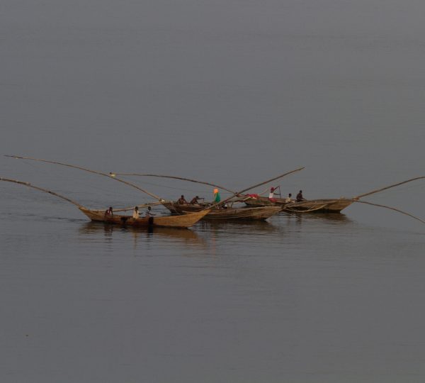 4-Day Rwanda Chimpanzee Trek and Lake Kivu Experience