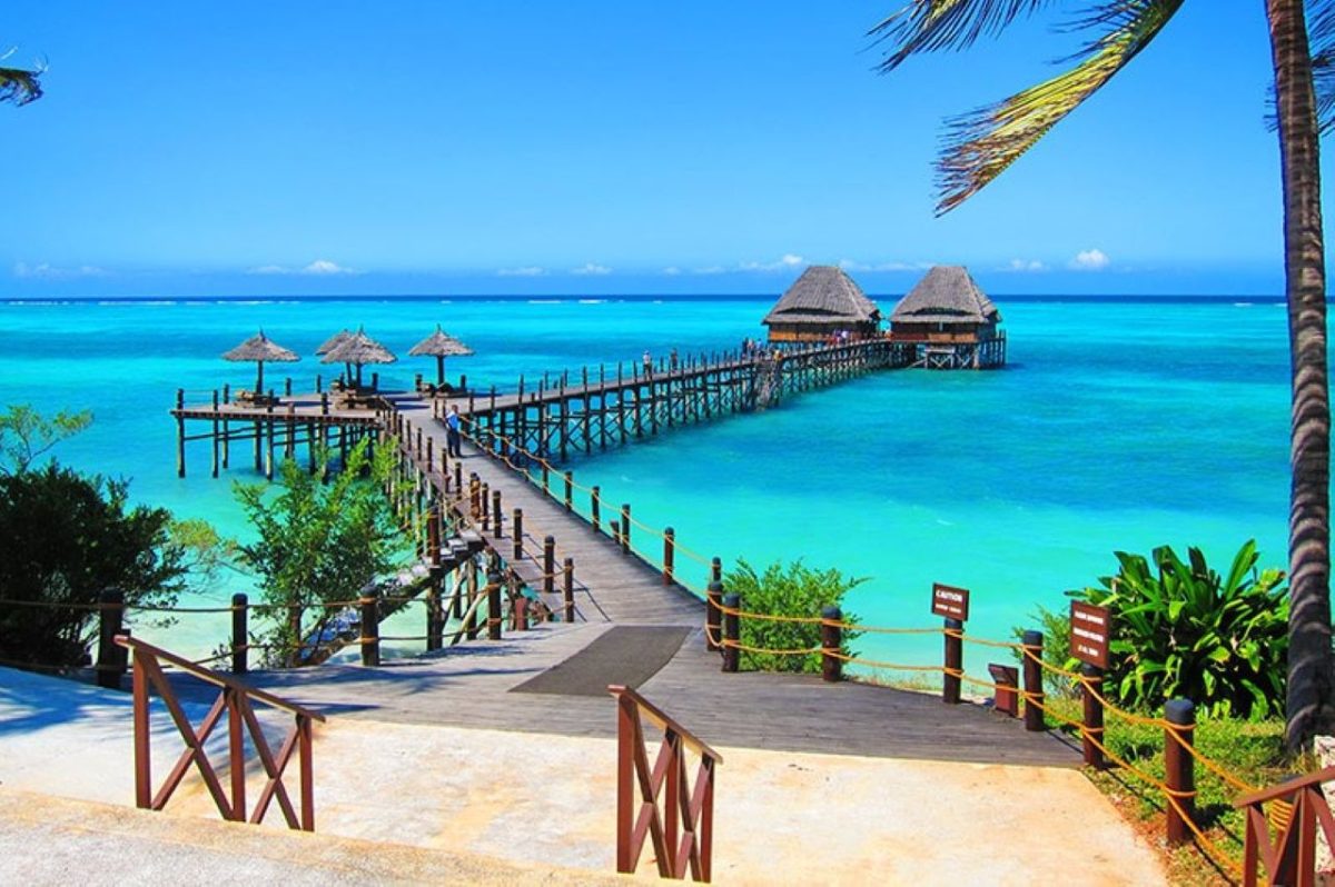 8-Day Rwanda & Zanzibar Expedition: Gorilla Encounters and Indian Ocean Paradise