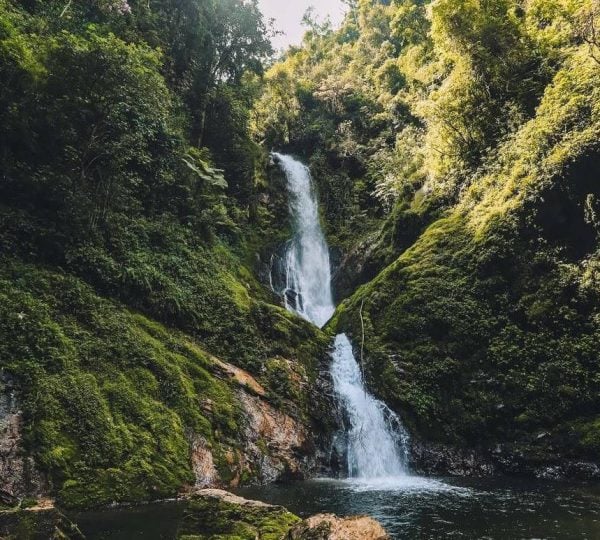 10-Day Rwanda Gorilla & Chimpanzee Trek Safari