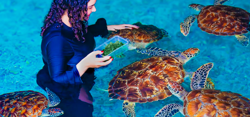 8-Day Rwanda & Zanzibar Expedition: Gorilla Encounters and Indian Ocean Paradise